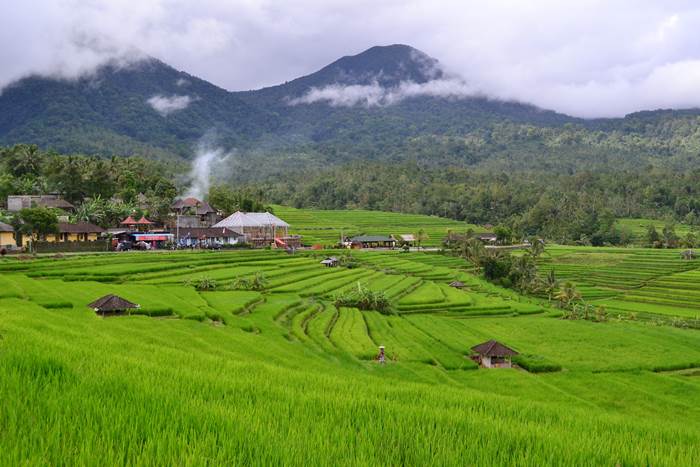 Cycling Jatiluwih Bali Team Building Kombinasi New 2015